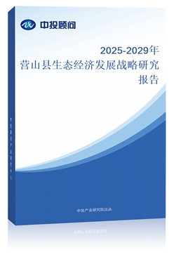 2025-2029?du)IɽhB(ti)(jng)(j)l(f)չ(zhn)о(bo)