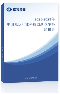 2025-2029Ї(gu)a(chn)I(y)Ƽ(chung)¸(jng)(zhng)ֈ(bo)